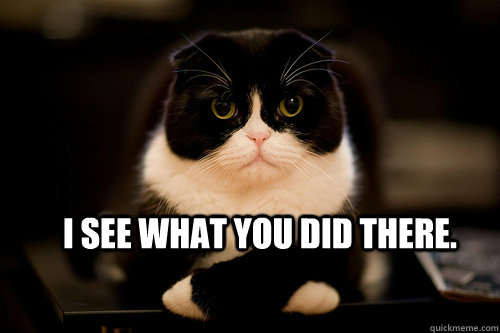 i see what you did there - ISWYDT Kitty