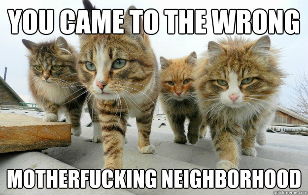 you came to the wrong motherfucking neighborhood -