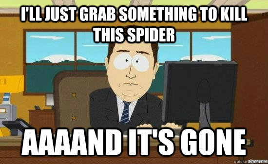 ill just grab something to kill this spider aaaand its gon - AAAAAAND ITS GONE