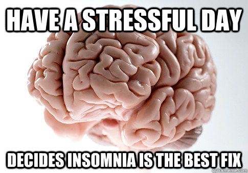 have a stressful day decides insomnia is the best fix - Scumbag Brain