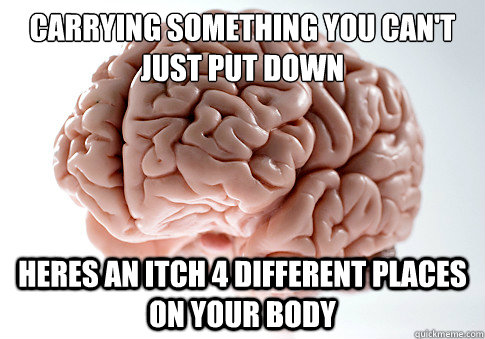 carrying something you cant just put down heres an itch 4 d - Scumbag Brain