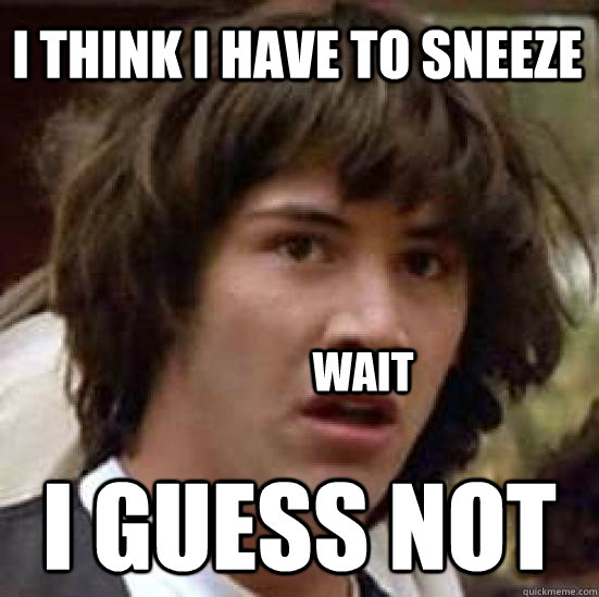 i think i have to sneeze i guess not wait - conspiracy keanu