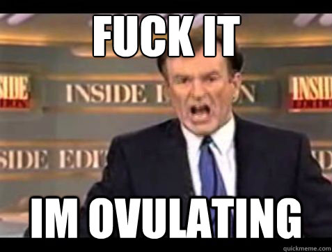 fuck it im ovulating - Bill OReilly Fuck it