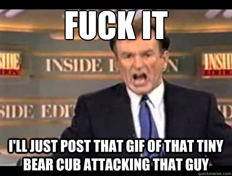 fuck it ill just post that gif of that tiny bear cub attack - Bill OReilly Fuck it