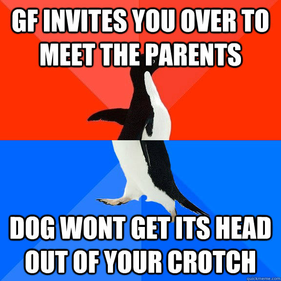 gf invites you over to meet the parents dog wont get its hea - Socially Awesome Awkward Penguin