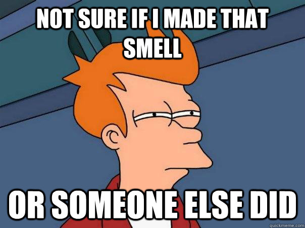not sure if i made that smell or someone else did - Futurama Fry