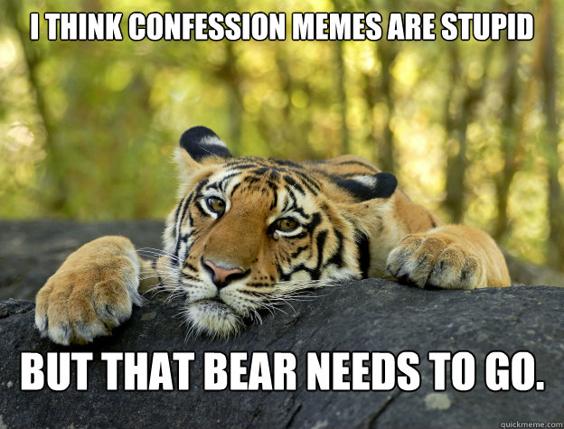 i think confession memes are stupid but that bear needs to g - Confession Tiger