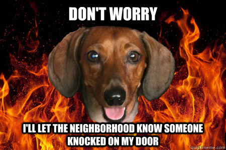 dont worry ill let the neighborhood know someone knocked o - Demonic Dachshund