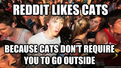 reddit likes cats because cats dont require you to go outsi - Sudden Clarity Clarence