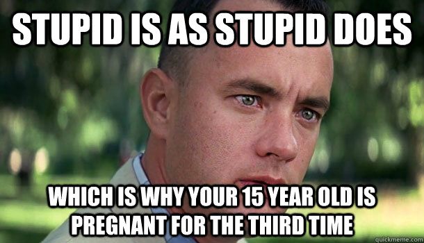 stupid is as stupid does which is why your 15 year old is pr - Offensive Forrest Gump
