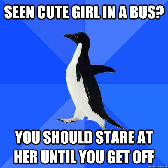seen cute girl in a bus you should stare at her until you g - Socially Awkward Penguin