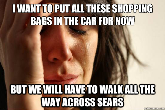 i want to put all these shopping bags in the car for now but - First World Problems