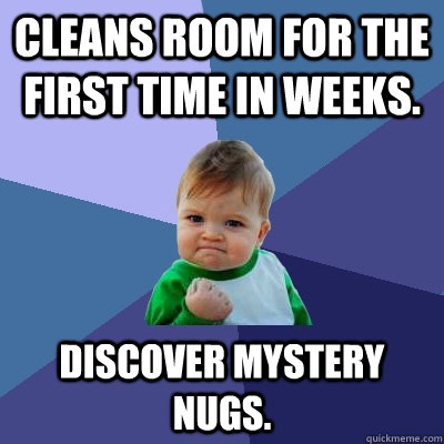 cleans room for the first time in weeks discover mystery nu - Success Kid