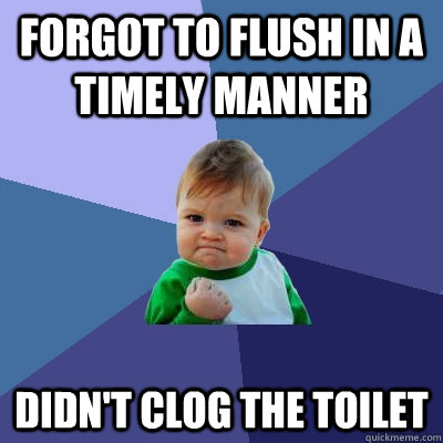 forgot to flush in a timely manner didnt clog the toilet - Success Kid