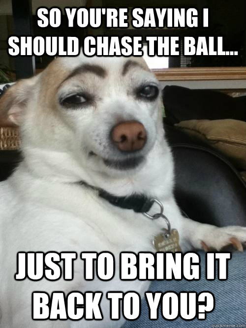 so youre saying i should chase the ball just to bring it - Skeptical Dog