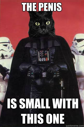 the penis is small with this one - Darth Vader Cat