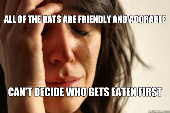 all of the rats are friendly and adorable cant decide who - First World Problems