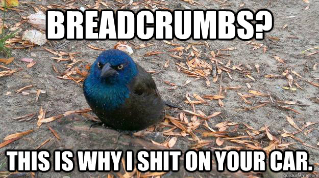 breadcrumbs this is why i shit on your car - Angry Bird