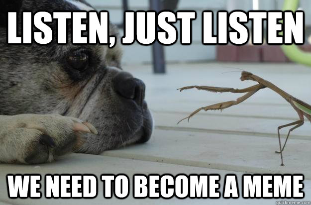 listen just listen we need to become a meme - Lecturing Mantis