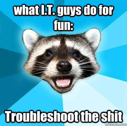 what it guys do for fun troubleshoot the shit - Lame Pun Coon Huck No
