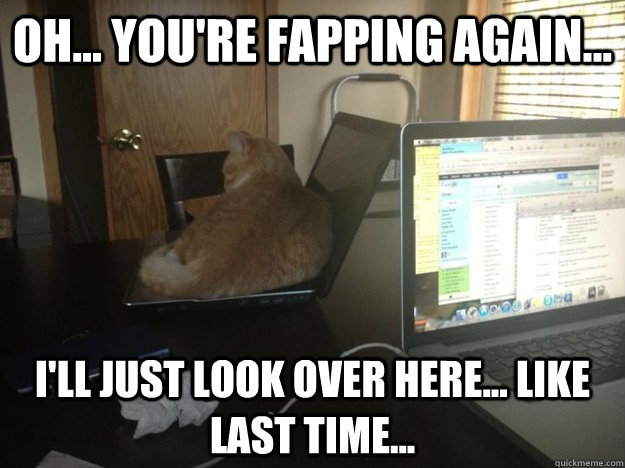 oh youre fapping again ill just look over here li - Shame Cat
