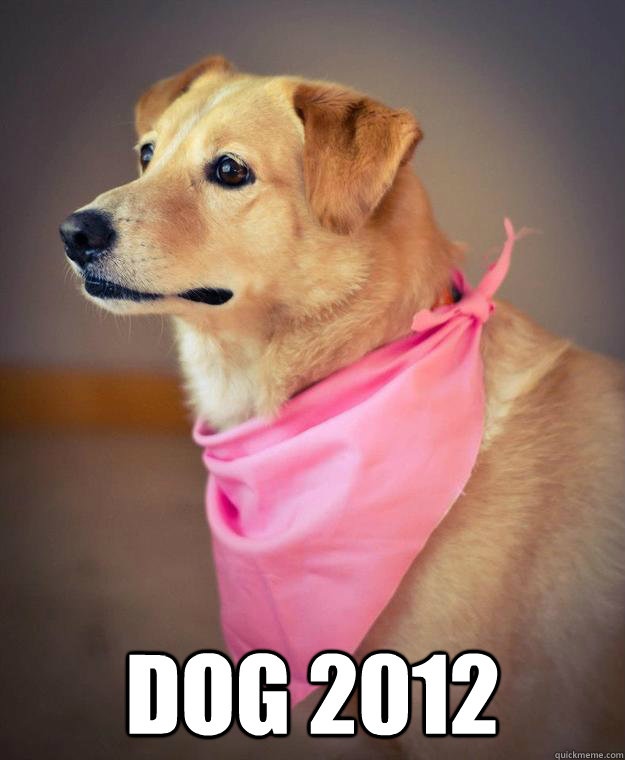 dog 2012 -