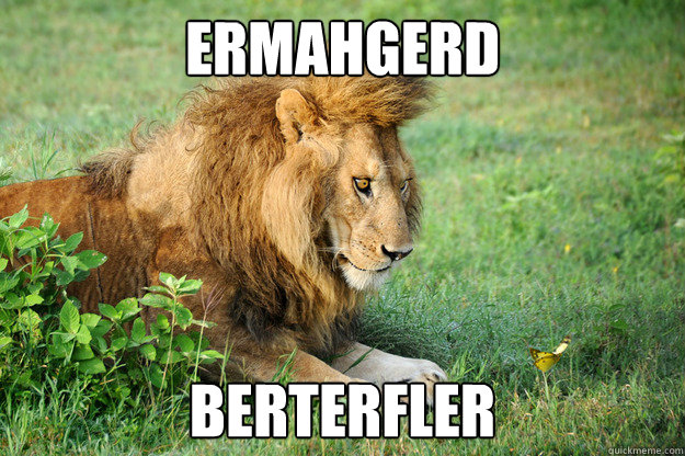 ermahgerd berterfler - ermahgerd berterfler