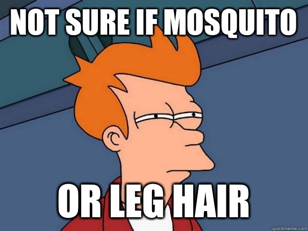 not sure if mosquito or leg hair - Futurama Fry