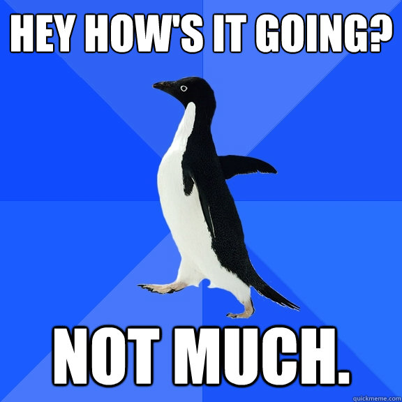 hey hows it going not much - Socially Awkward Penguin