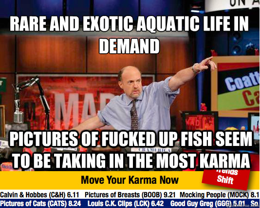 rare and exotic aquatic life in demand pictures of fucked u - Mad Karma with Jim Cramer