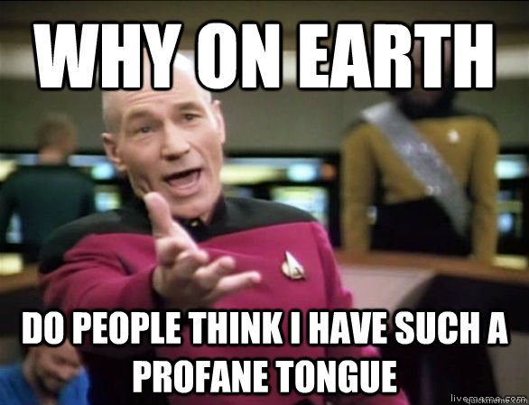 why on earth do people think i have such a profane tongue - Annoyed Picard HD