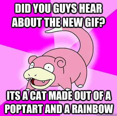 did you guys hear about the new gif its a cat made out of a - Slowpoke