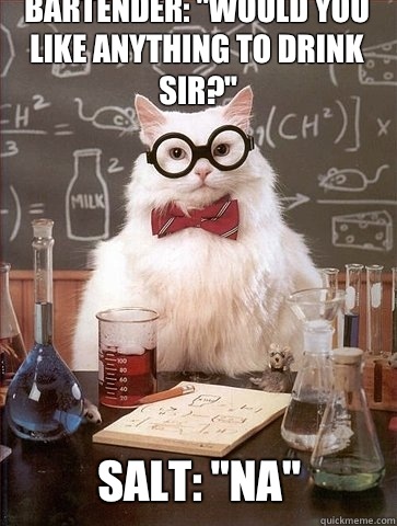 Bartender Would you like anything to drink sir Salt Na - Chemistry Cat