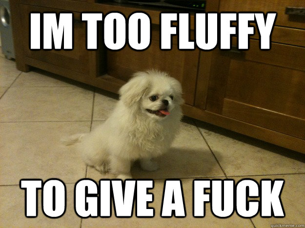 im too fluffy to give a fuck - 
