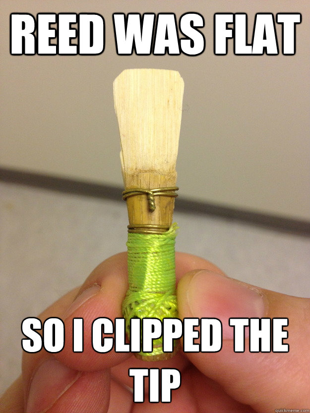 reed was flat so i clipped the tip -