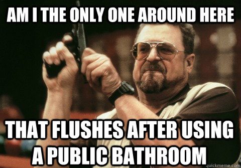 am i the only one around here that flushes after using a pub - Am I the only one