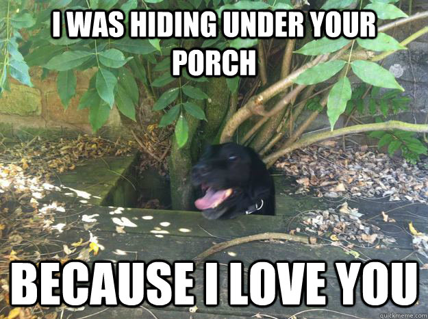 i was hiding under your porch because i love you -