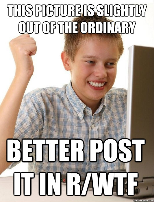 this picture is slightly out of the ordinary better post it - First Day on the Internet Kid