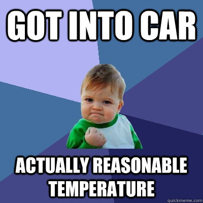 got into car actually reasonable temperature - Success Kid