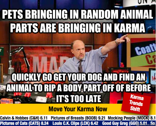 pets bringing in random animal parts are bringing in karma q - Mad Karma with Jim Cramer
