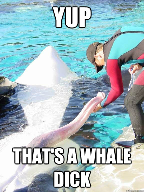 yup thats a whale dick -