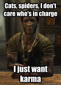 cats spiders i dont care whos in charge i just want karm - Cheapskate Belethor