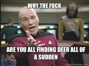 why the fuck Are you all finding deer all of a sudden - Annoyed Picard