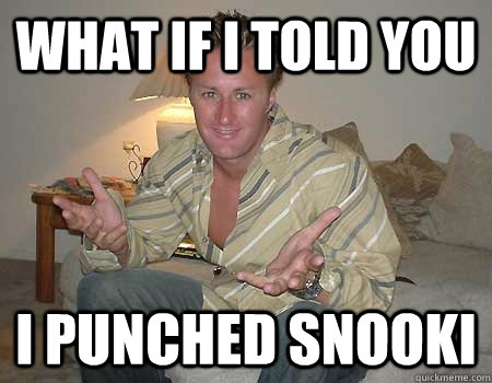 what if i told you i punched snooki -