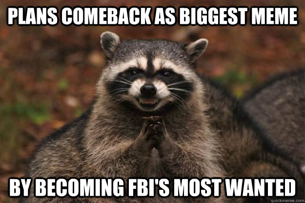 plans comeback as biggest meme by becoming fbis most wanted - Evil Plotting Raccoon