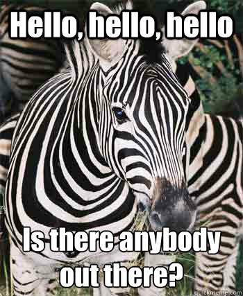 hello hello hello is there anybody out there - Test Zebra
