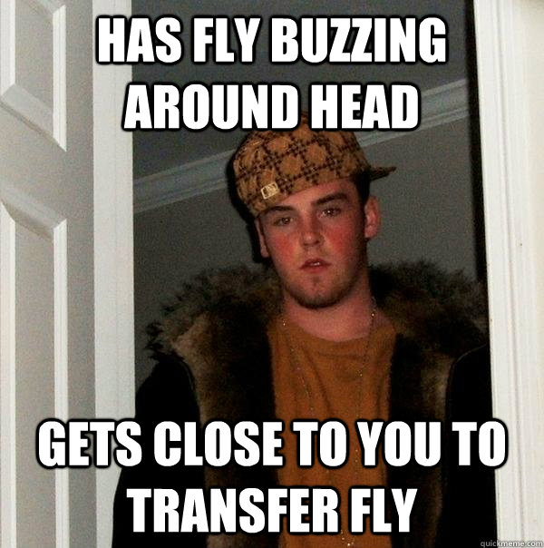 has fly buzzing around head gets close to you to transfer fl - Scumbag Steve