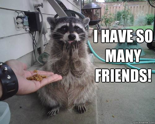 i have so many friends  - grateful raccoon