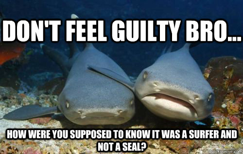 dont feel guilty bro how were you supposed to know it wa - Compassionate Shark Friend