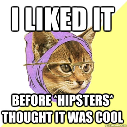 i liked it before hipsters thought it was cool - Hipster Kitty